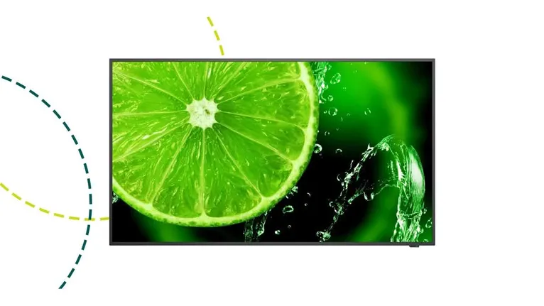 ¿Qué Display Profesional de 65" elegir?