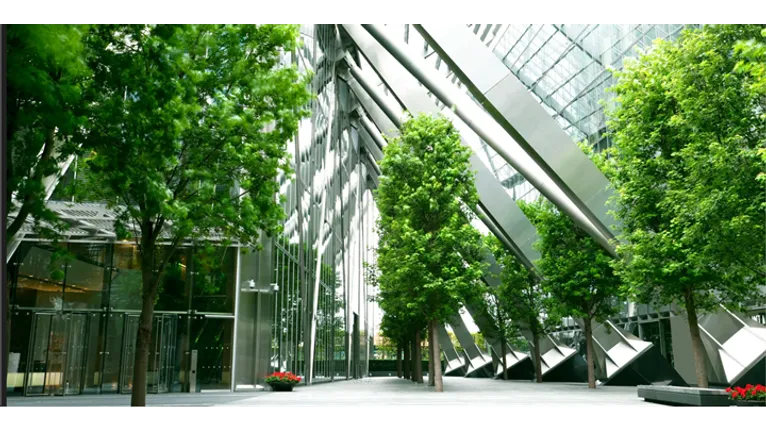 ¡Hemos logrado la Cisco Environmental Sustainability Specialization!