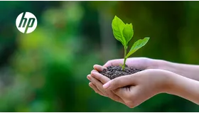 Consumibles originales HP