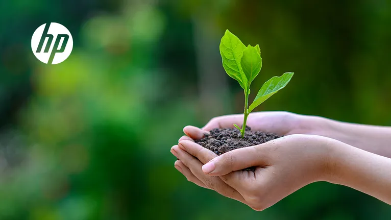 Consumibles originales HP