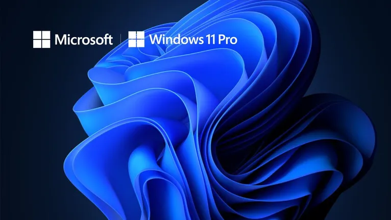 Windows 11 Pro