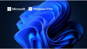 Windows 11 Pro