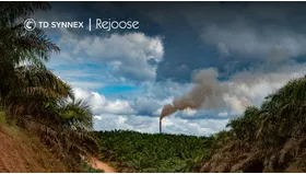 TD SYNNEX associa-se à Rejoose para informar sobre pegada de carbono