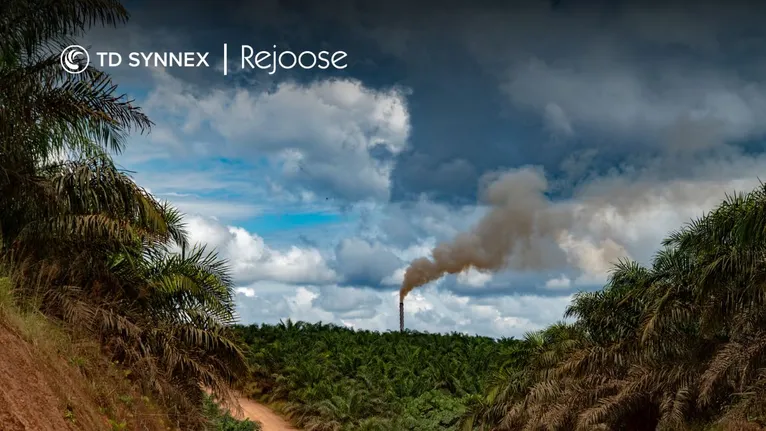 TD SYNNEX associa-se à Rejoose para informar sobre pegada de carbono